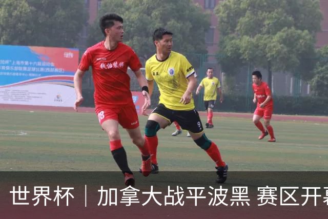 世界杯｜加拿大战平波黑 赛区开幕式表演“翻车”