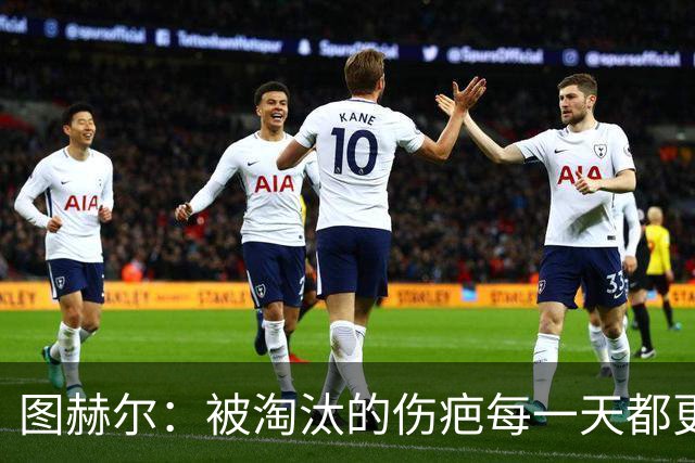 图赫尔：被淘汰的伤疤每一天都更痛，但我绝不后悔任何决定