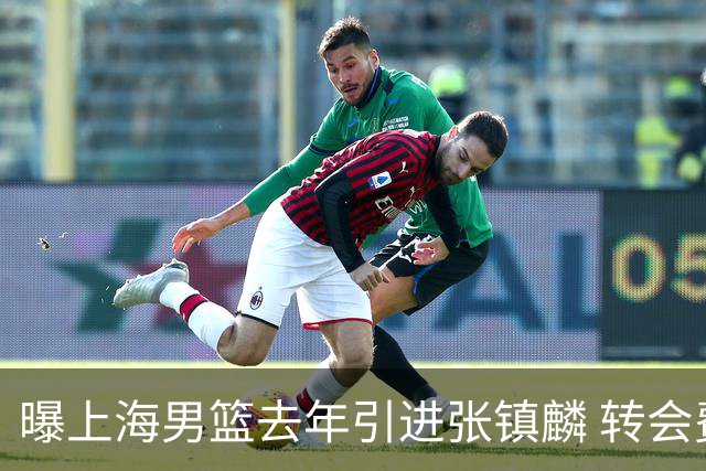 曝上海男篮去年引进张镇麟 转会费投入超5000万